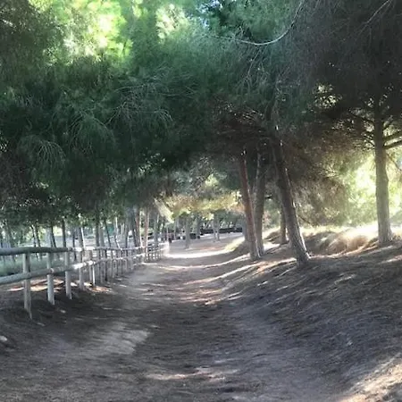 Kyrah * Τορεβιέχα